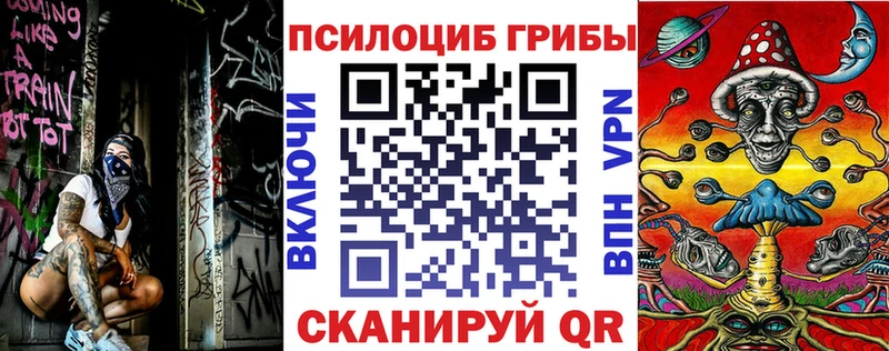 сколько стоит kraken зеркало площадка Telegram Касли Галлюциногенные грибы MAGIC MUSHROOMS